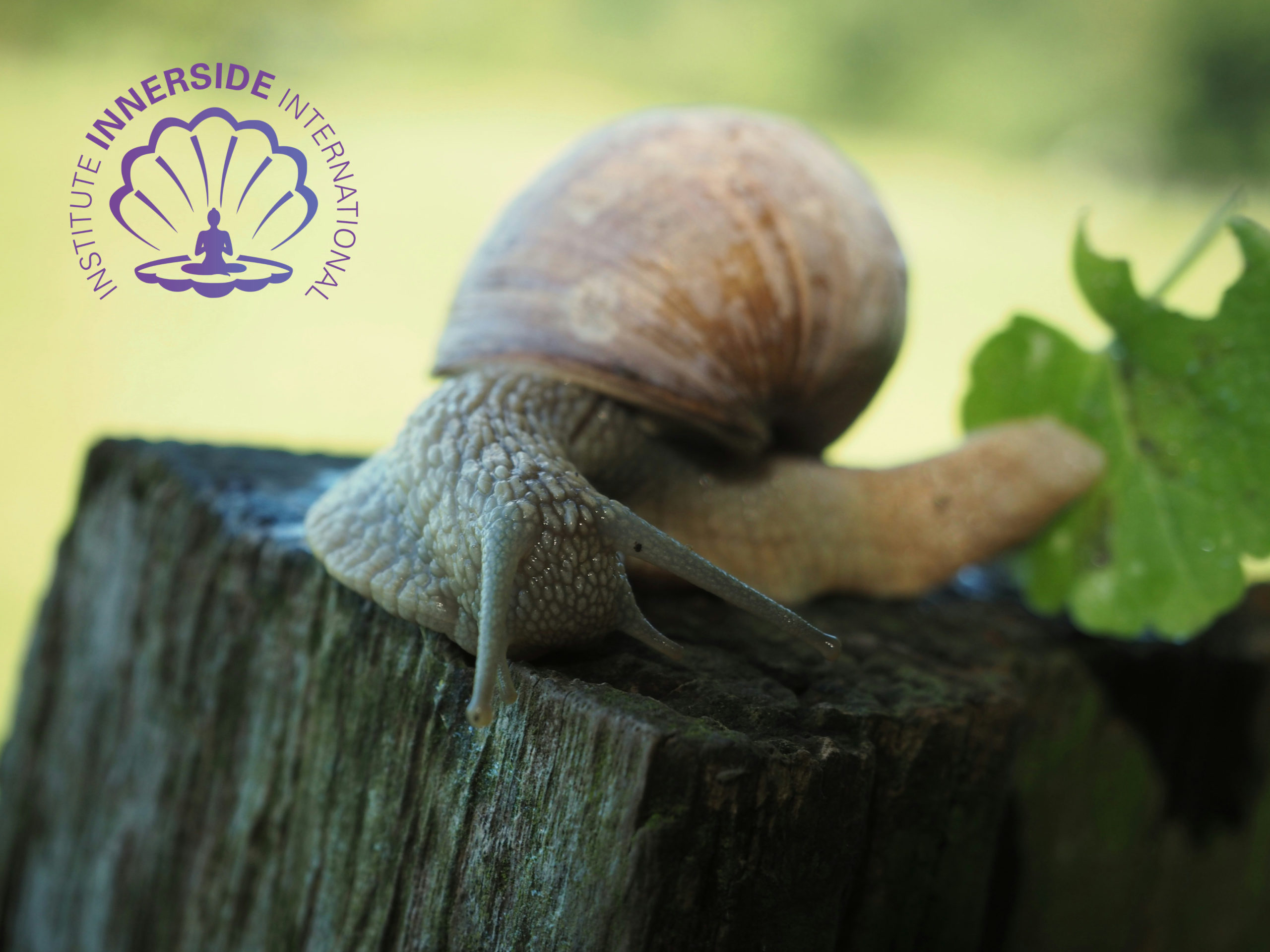 niklas-ohlrogge-niamoh-de-YWSXh5tvI3o-unsplash(1)